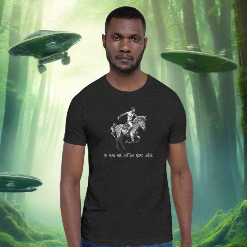 My plan for getting home